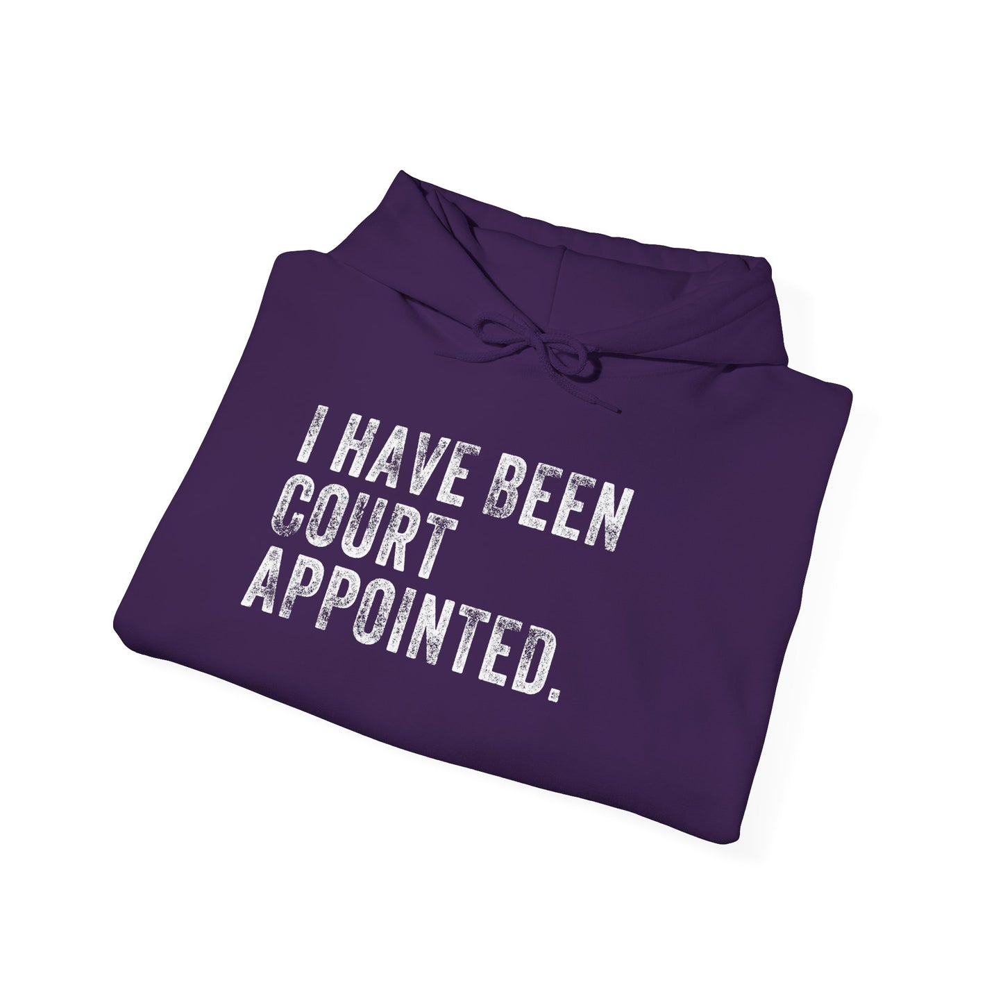I HAVE BEEN COURT APPOINTED, Unisex Heavy Blend™ Hooded Sweatshirt