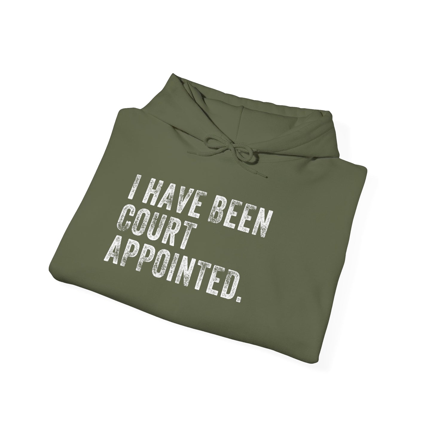 I HAVE BEEN COURT APPOINTED, Unisex Heavy Blend™ Hooded Sweatshirt