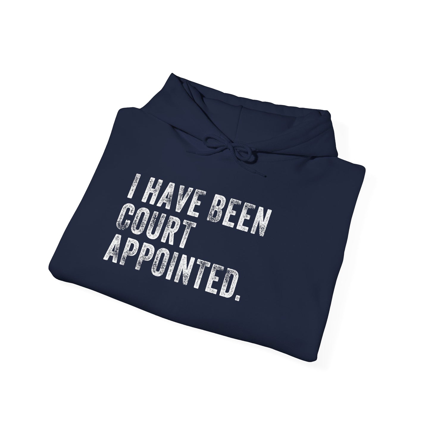 I HAVE BEEN COURT APPOINTED, Unisex Heavy Blend™ Hooded Sweatshirt