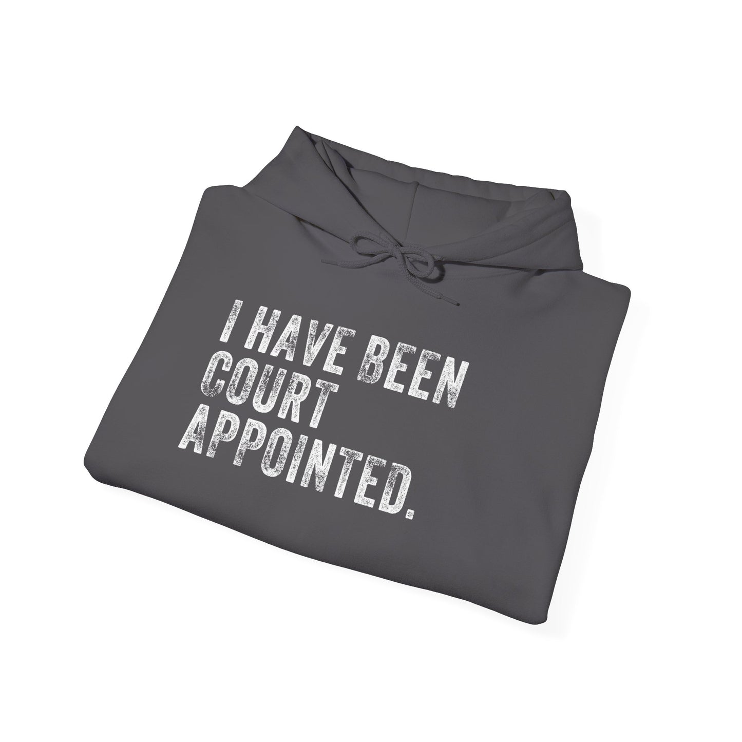 I HAVE BEEN COURT APPOINTED, Unisex Heavy Blend™ Hooded Sweatshirt