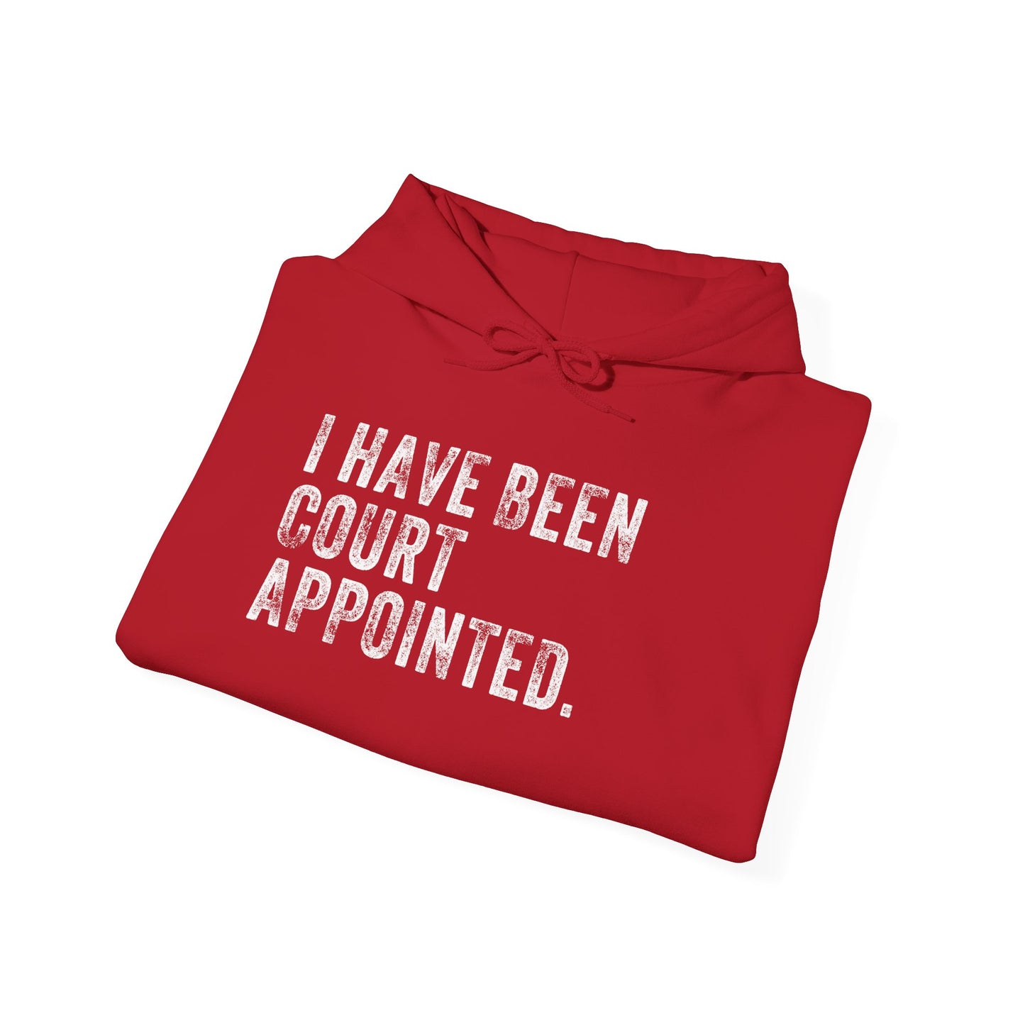 I HAVE BEEN COURT APPOINTED, Unisex Heavy Blend™ Hooded Sweatshirt