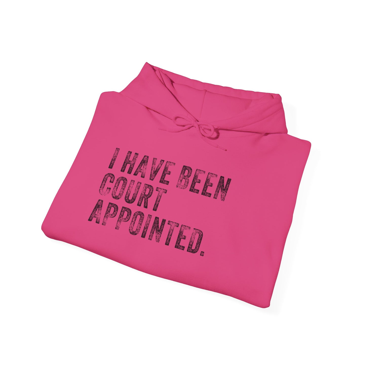 I HAVE BEEN COURT APPOINTED, Unisex Heavy Blend™ Hooded Sweatshirt