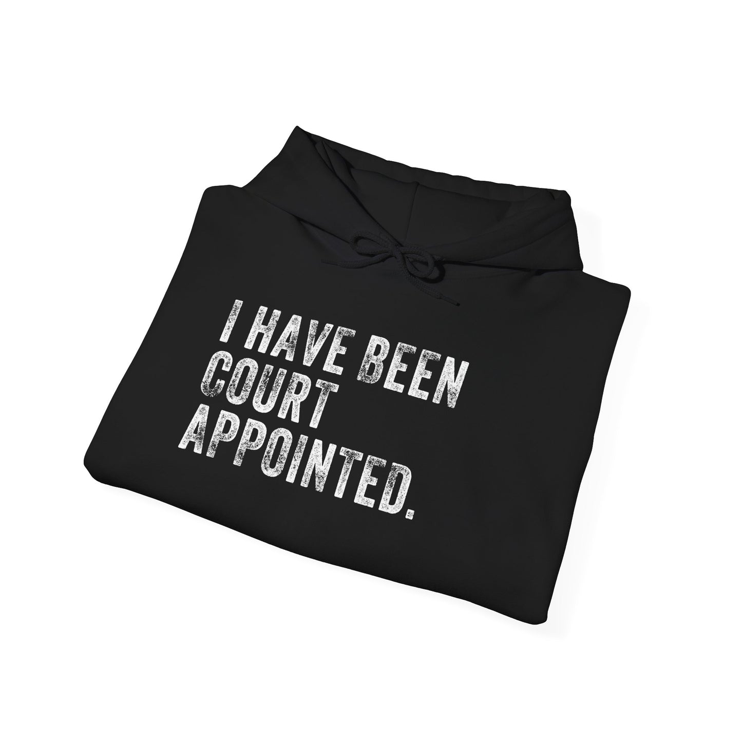 I HAVE BEEN COURT APPOINTED, Unisex Heavy Blend™ Hooded Sweatshirt