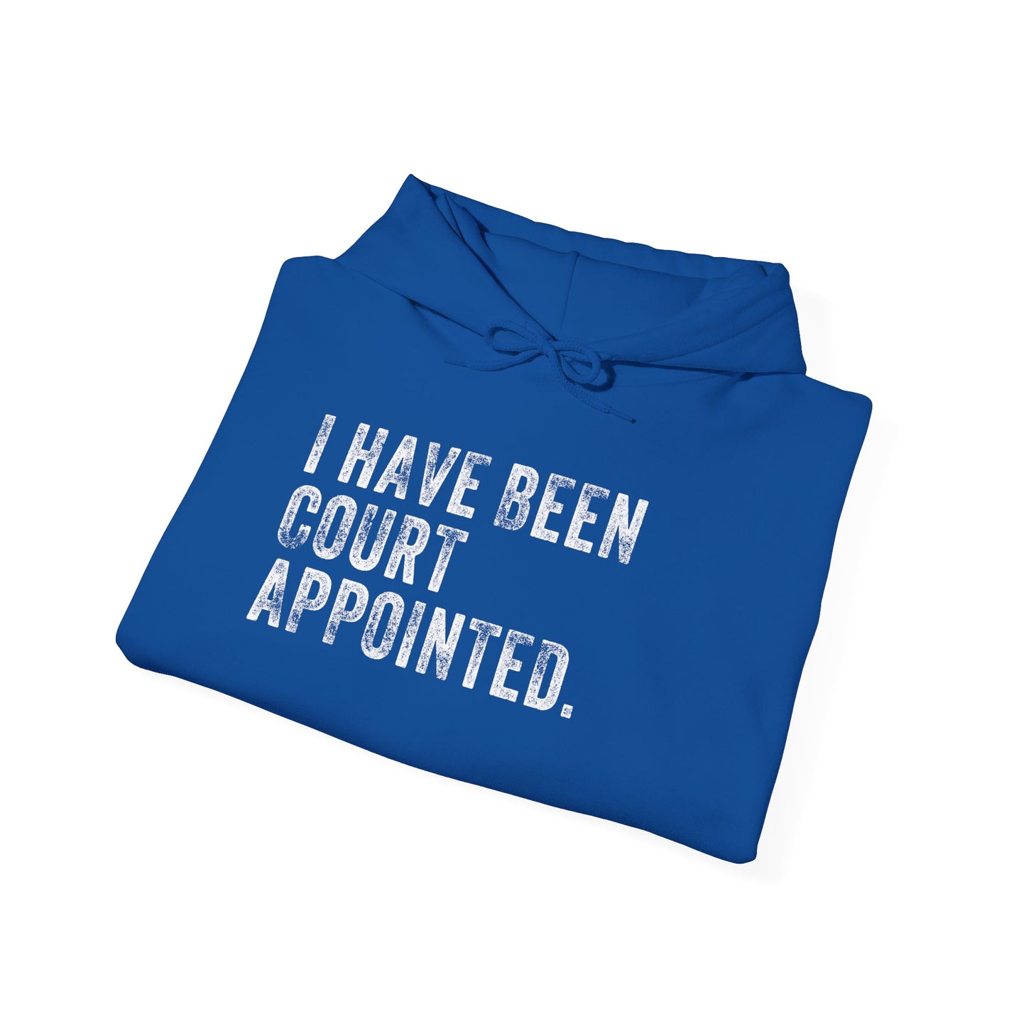 I HAVE BEEN COURT APPOINTED, Unisex Heavy Blend™ Hooded Sweatshirt