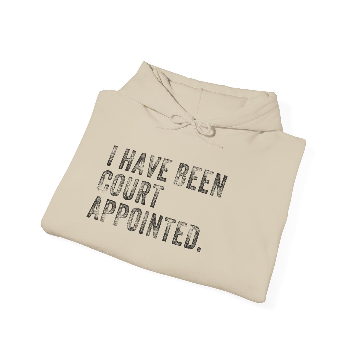 I HAVE BEEN COURT APPOINTED, Unisex Heavy Blend™ Hooded Sweatshirt