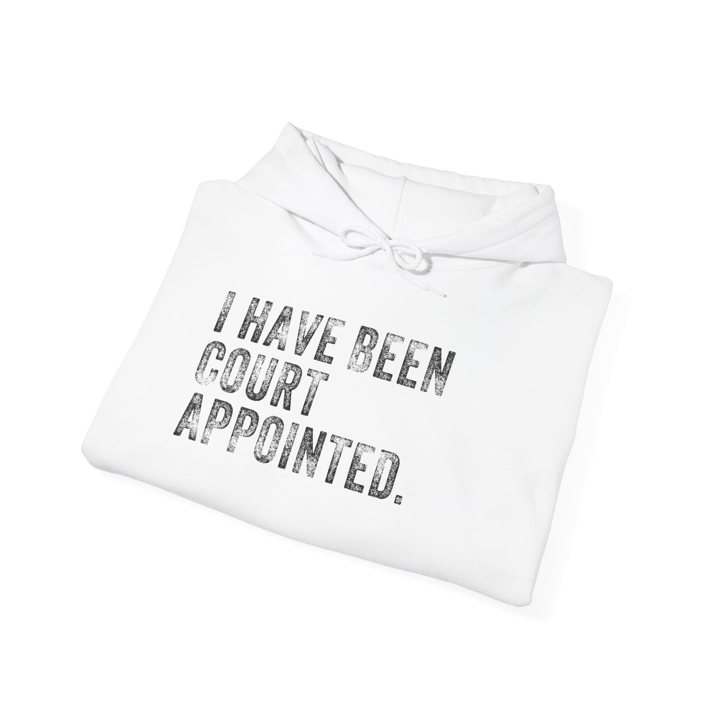 I HAVE BEEN COURT APPOINTED, Unisex Heavy Blend™ Hooded Sweatshirt