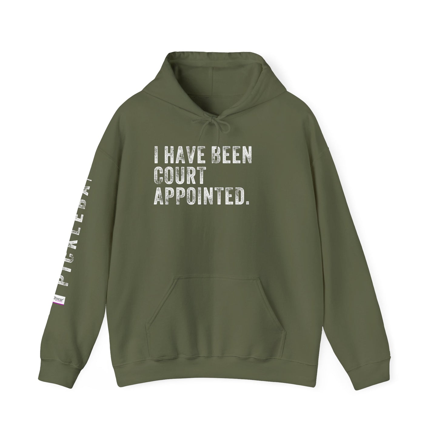 I HAVE BEEN COURT APPOINTED, Unisex Heavy Blend™ Hooded Sweatshirt